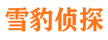 泰安找人公司